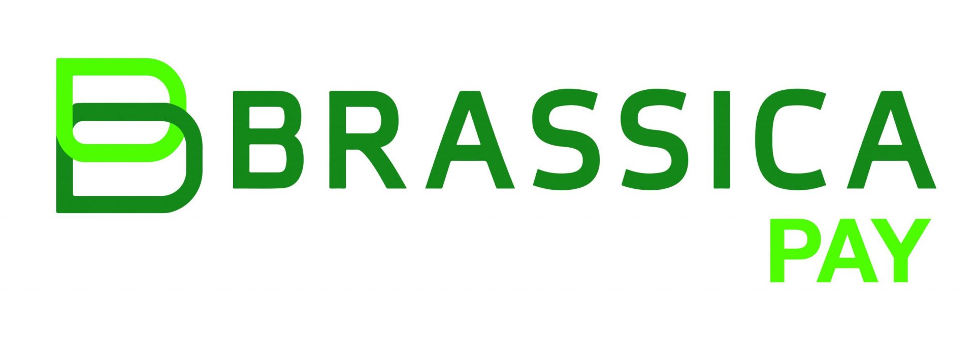Brassica PAY logo APPROVED UPDATE 1